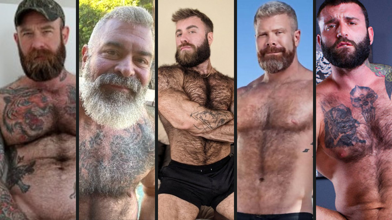 Top 5 Gay Porn Bears We Wanna Go Into Hibernation With - Fleshbot