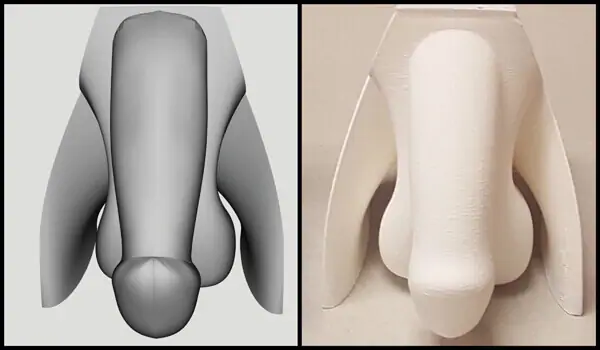 Researchers Want to Use 3D-Printed Genitals to Teach Blind ...