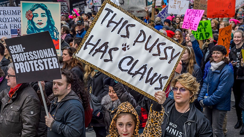 Where Does the Word Pussy Come From and Should Feminists Use It ...