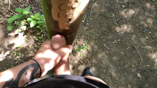 Cumshot On 'cum Here' Tree , Showing Cum Close Up And Piss At A ...