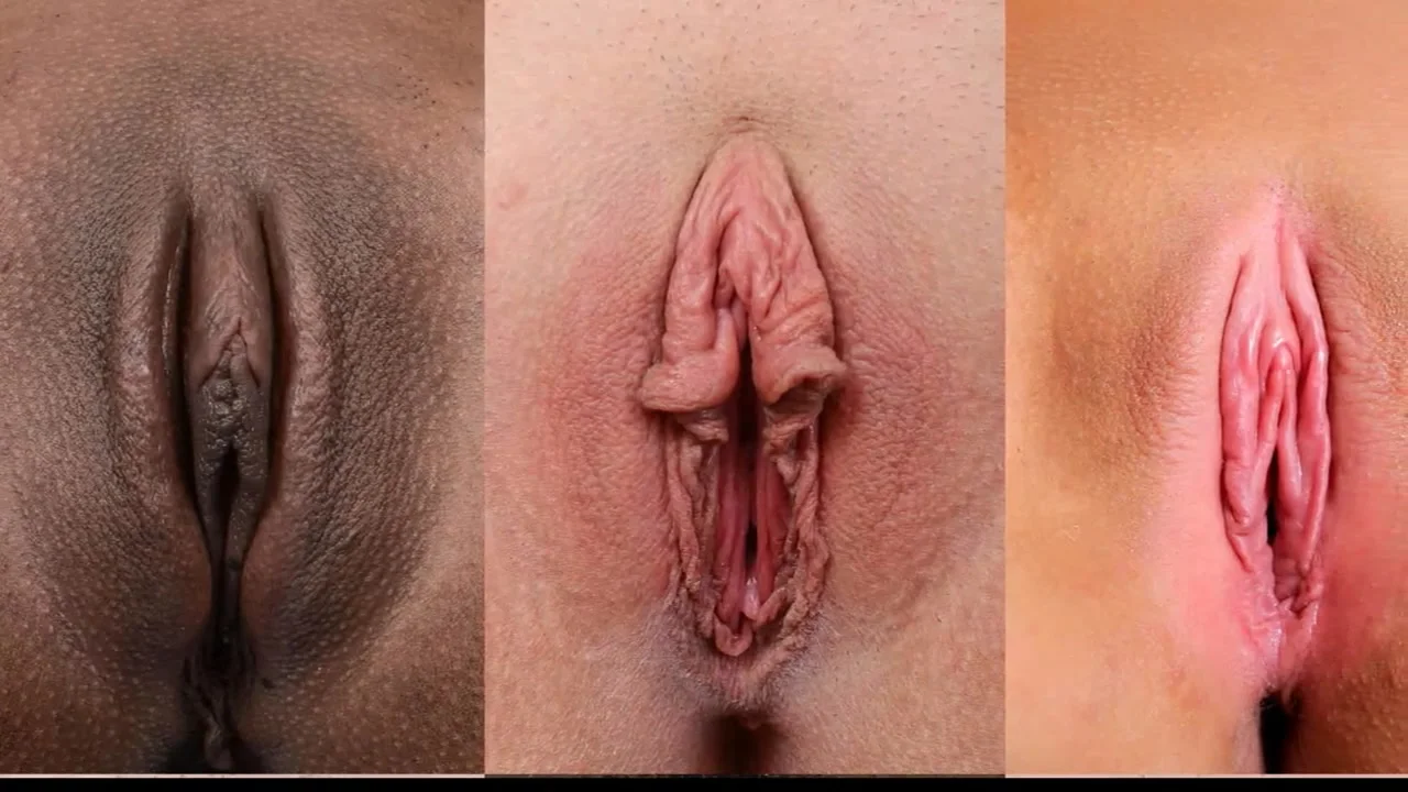 A lot of pussy here,,watch the diffrent shapes - fun porn at ...