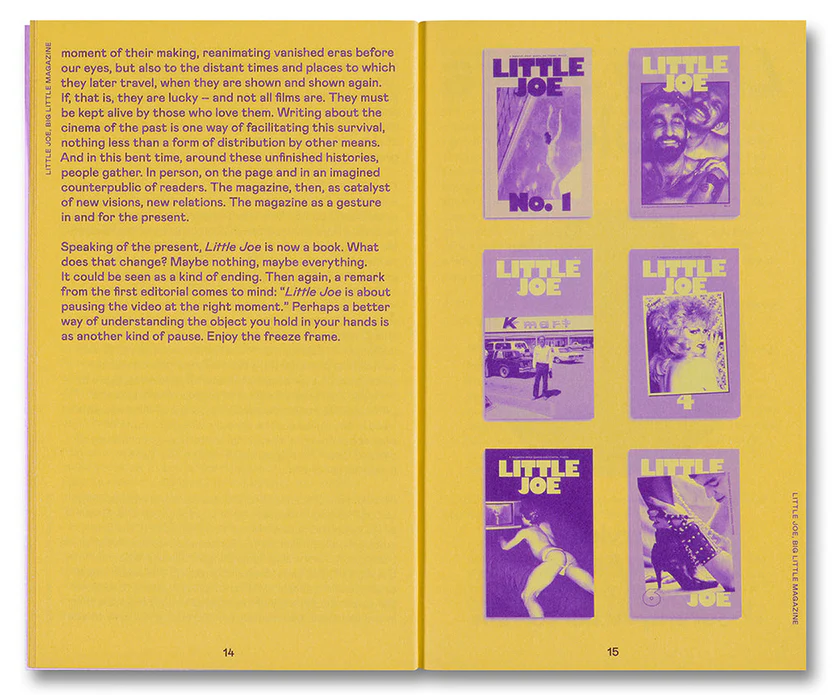 Little Joe: A book about queers and cinema, mostly - Sam Ashby (ed ...