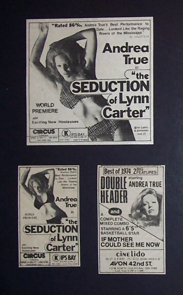 Andrea True 1974 X-Rated Movie Ad Lot Seduction Of Lynn Carter ...