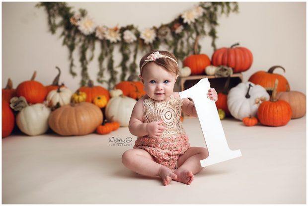 Lydia's Cake Smash Session | Conway Baby Photographer | Little ...