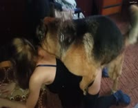 Dog xxx - Extreme Porn Video - LuxureTV