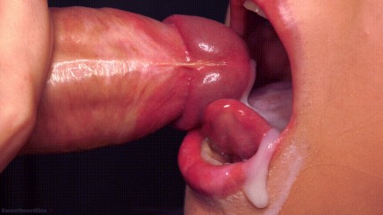 Cum Shot Porn Gif | Pornhub.com