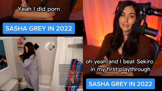 Sasha Grey, former porn actress, speaks out against haters on ...