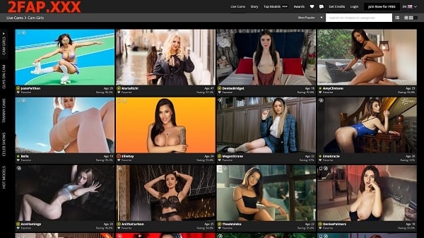 Cam Girls Porn Sites Niche | Paysites Reviews