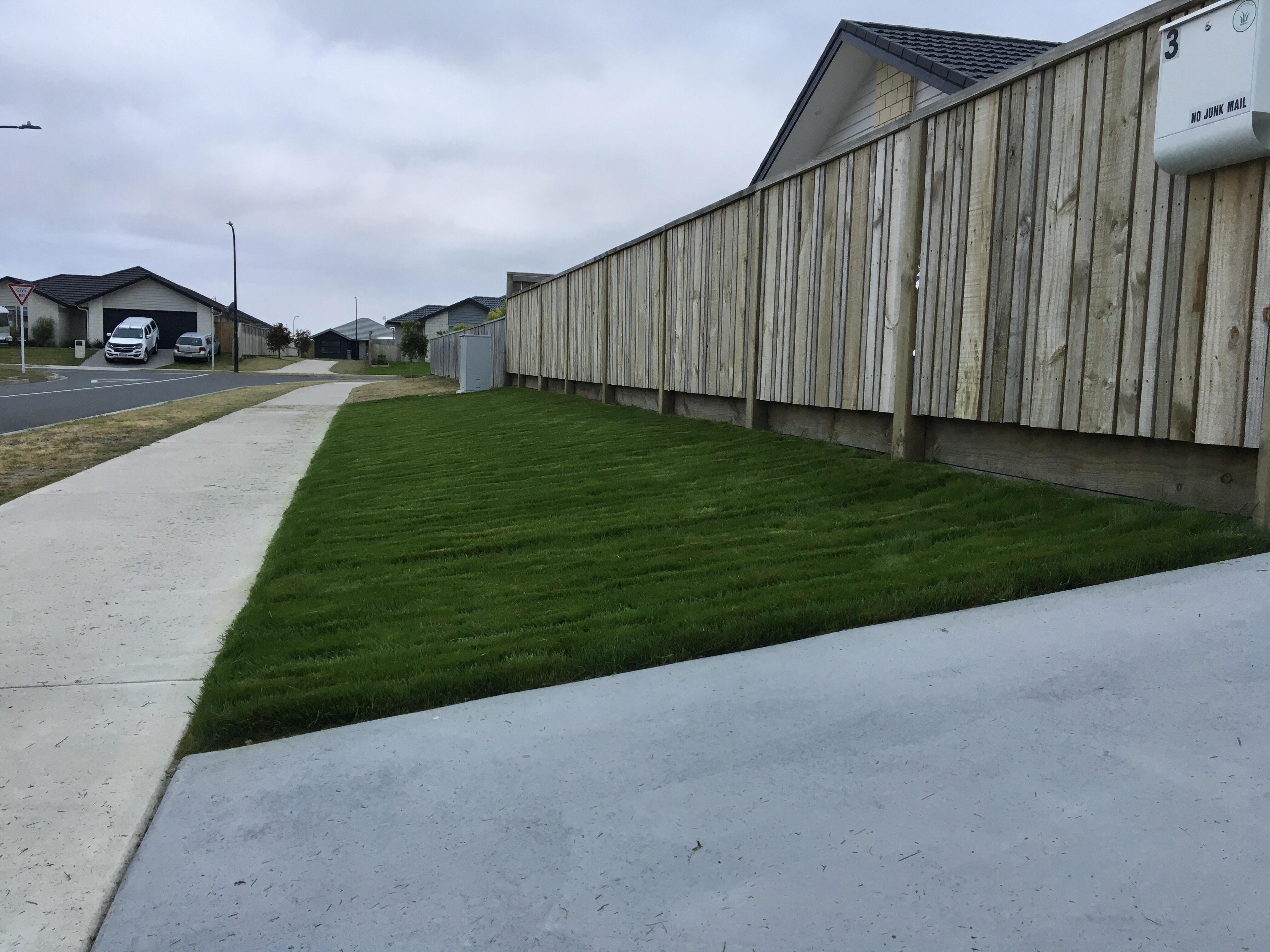 Trying my best to make some neighbourhood lawn porn : r/diynz