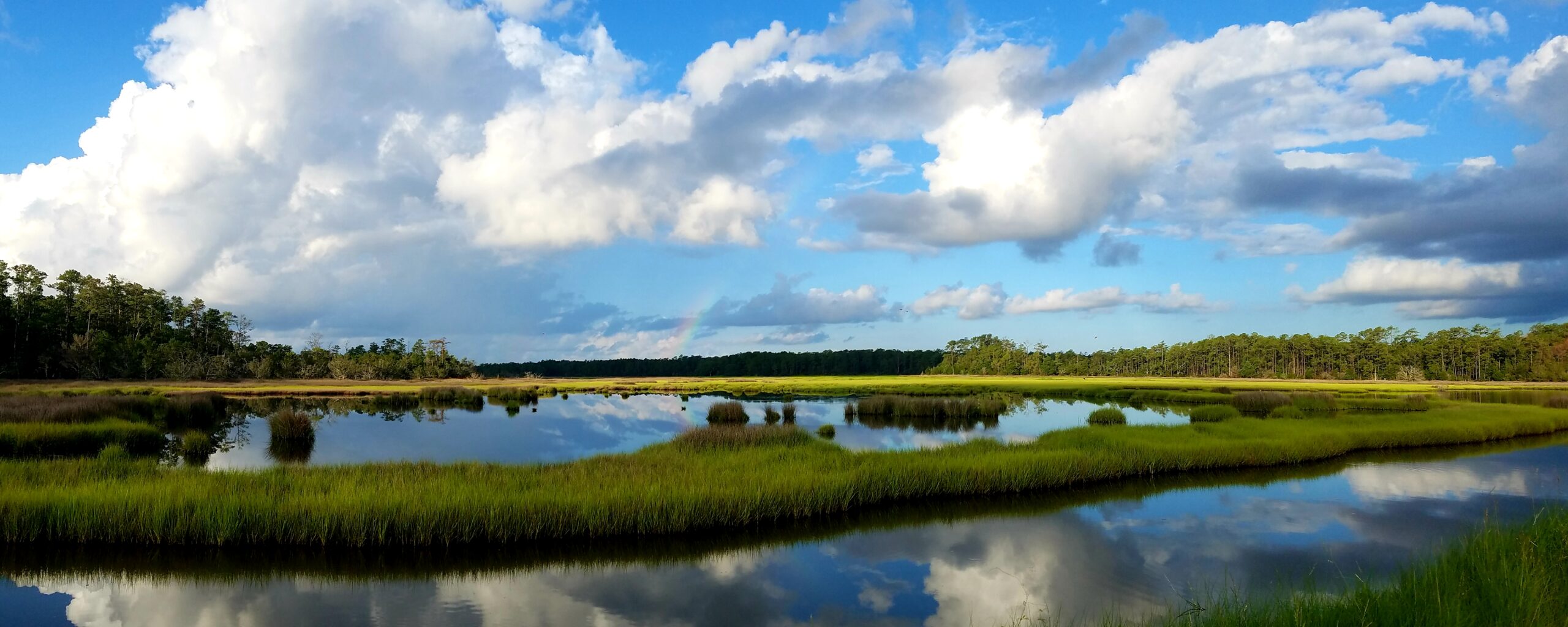 Hobcaw Barony