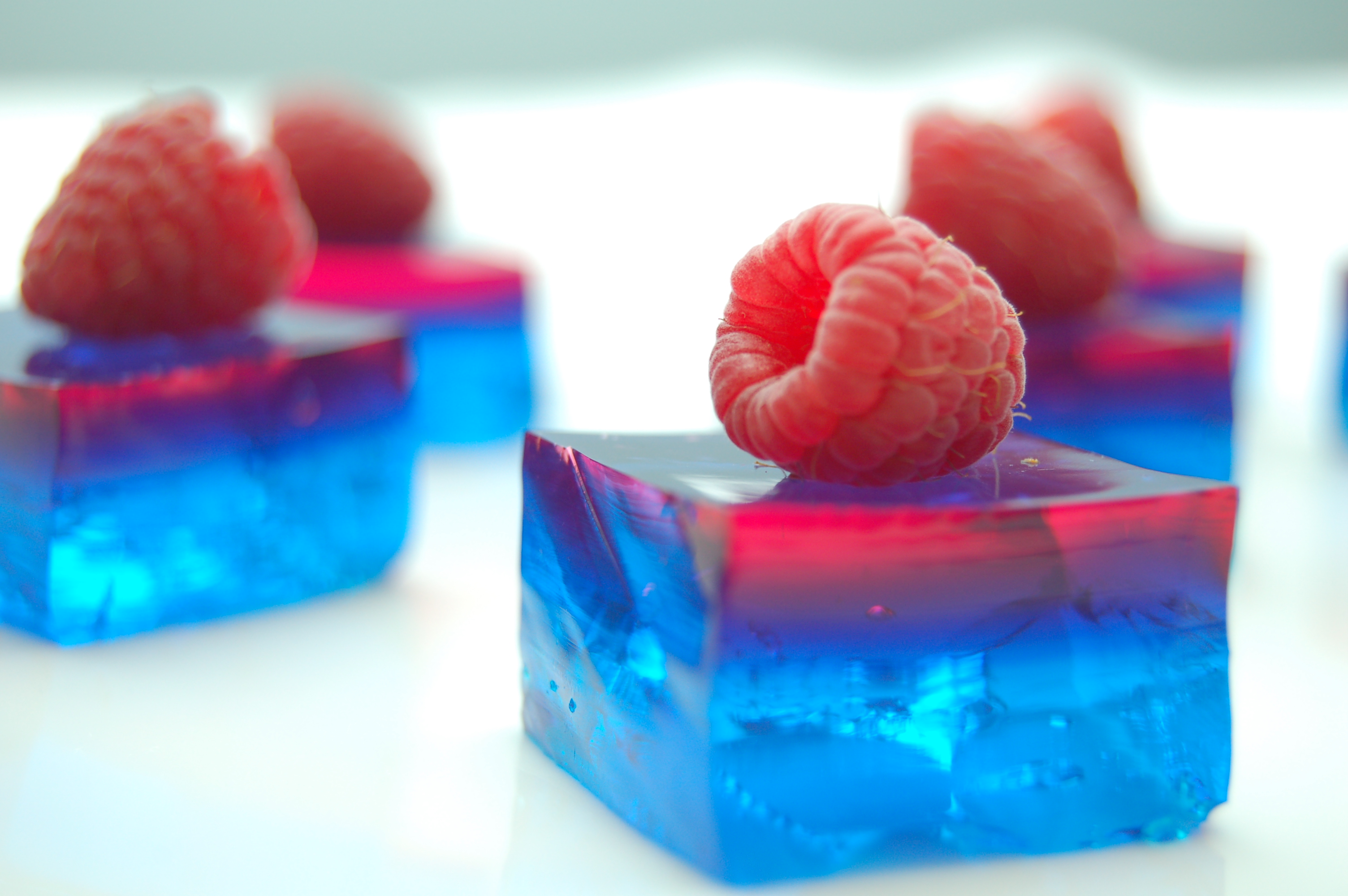 Porn Star Jelly Shots | 9DOORS