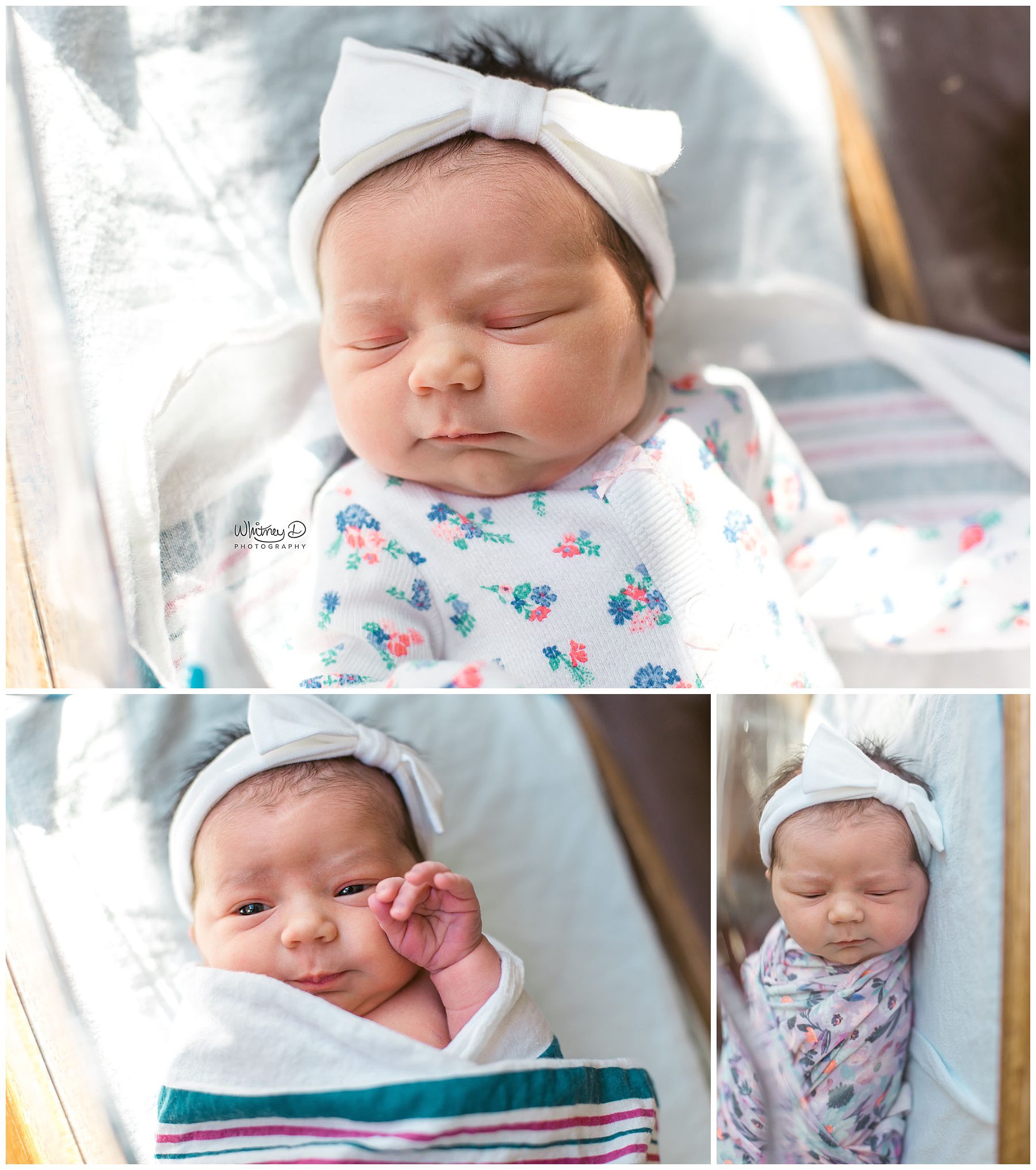 Alexa's Fresh 48 Session | Conway Newborn Photographer | Little ...