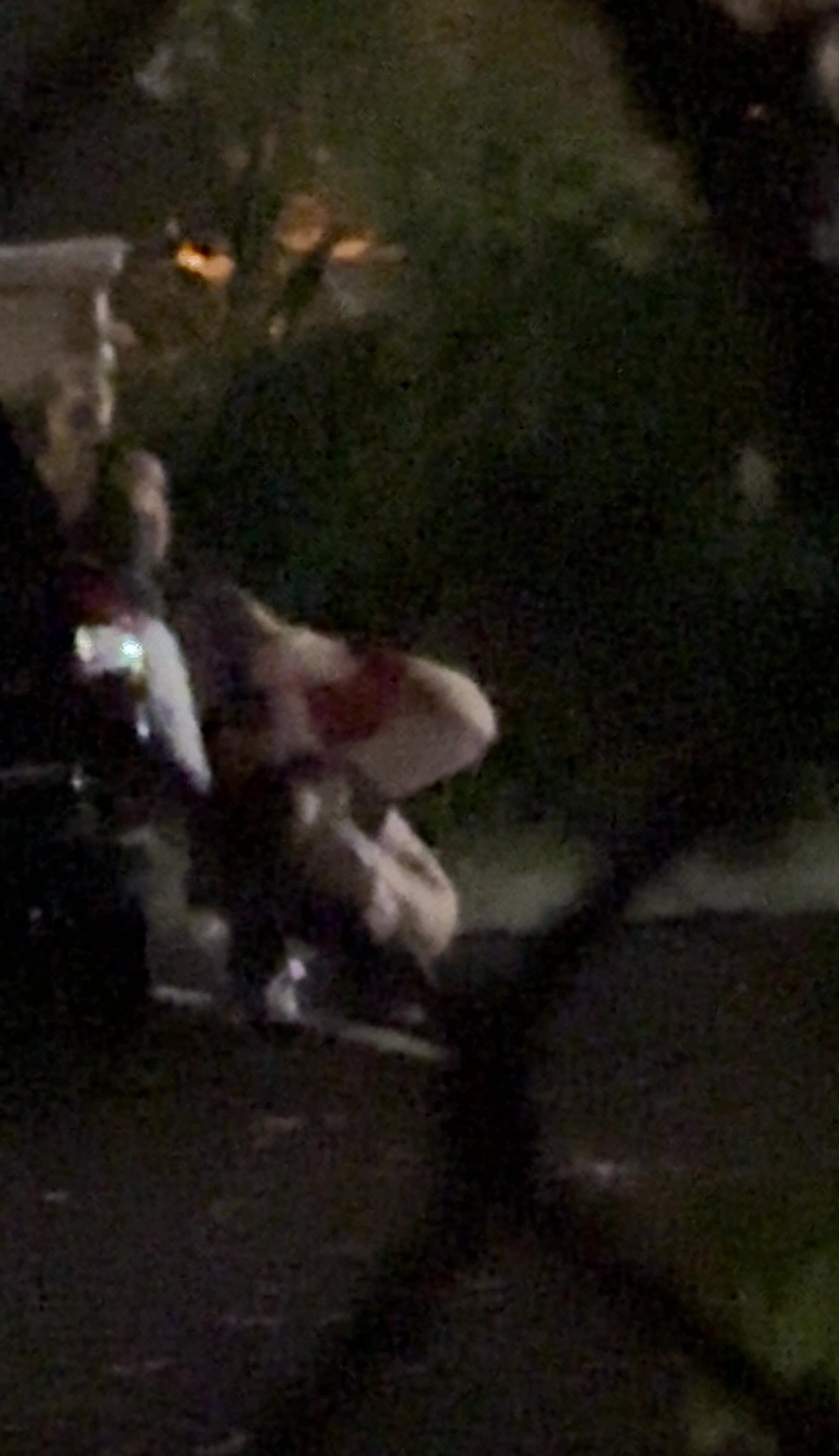 2 girls peeing outside a frat party - ThisVid.com